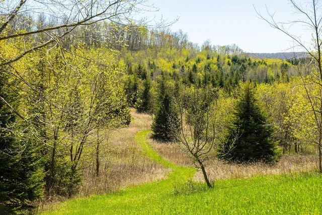 $949,900 | W1349 Hurlburt, Canton, WI 54755