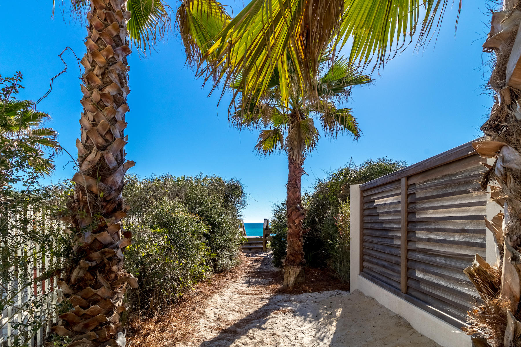 Lot 16 A St Inlet Beach Inlet Beach, FL 32461 - Photo 14 of 16 a view of a backyard