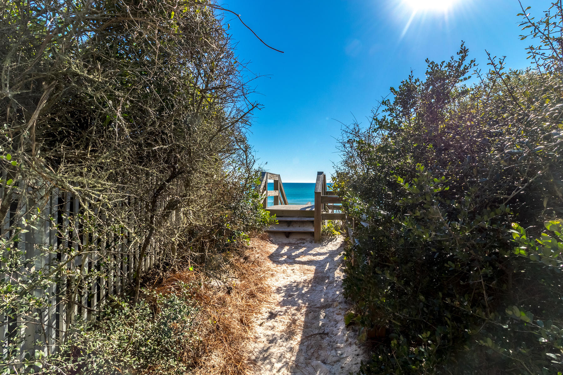Lot 16 A St Inlet Beach Inlet Beach, FL 32461 - Photo 15 of 16 a pathway of a yard