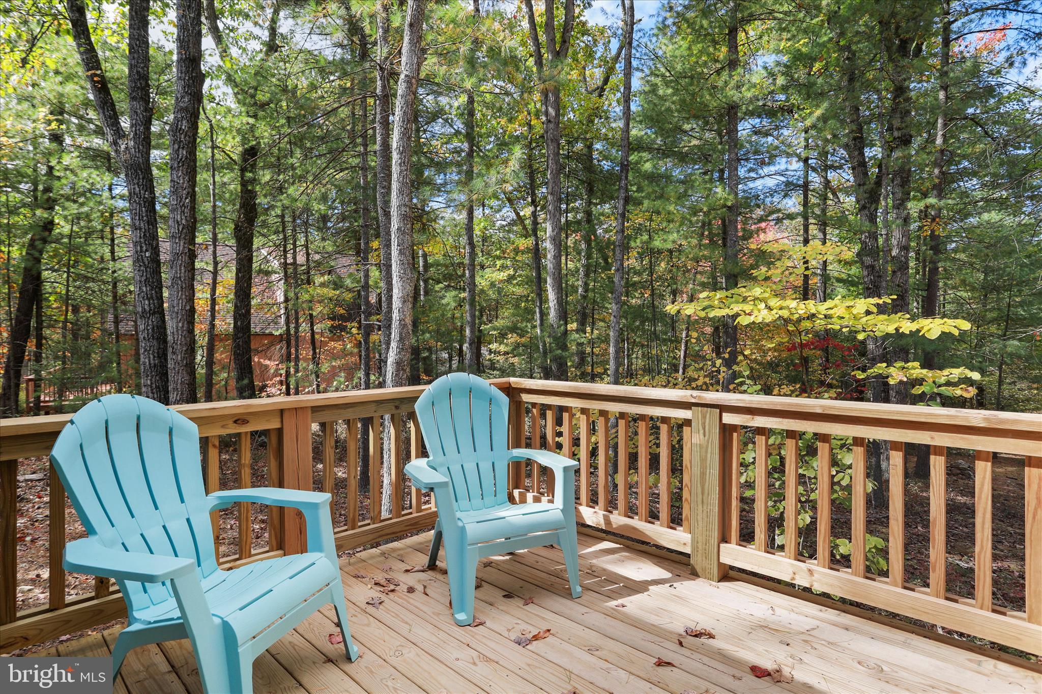 598 Crabapple Road Mount Jackson, VA 22842 - Photo 29 of 32 a view of balcony with wooden floor and outdoor seating