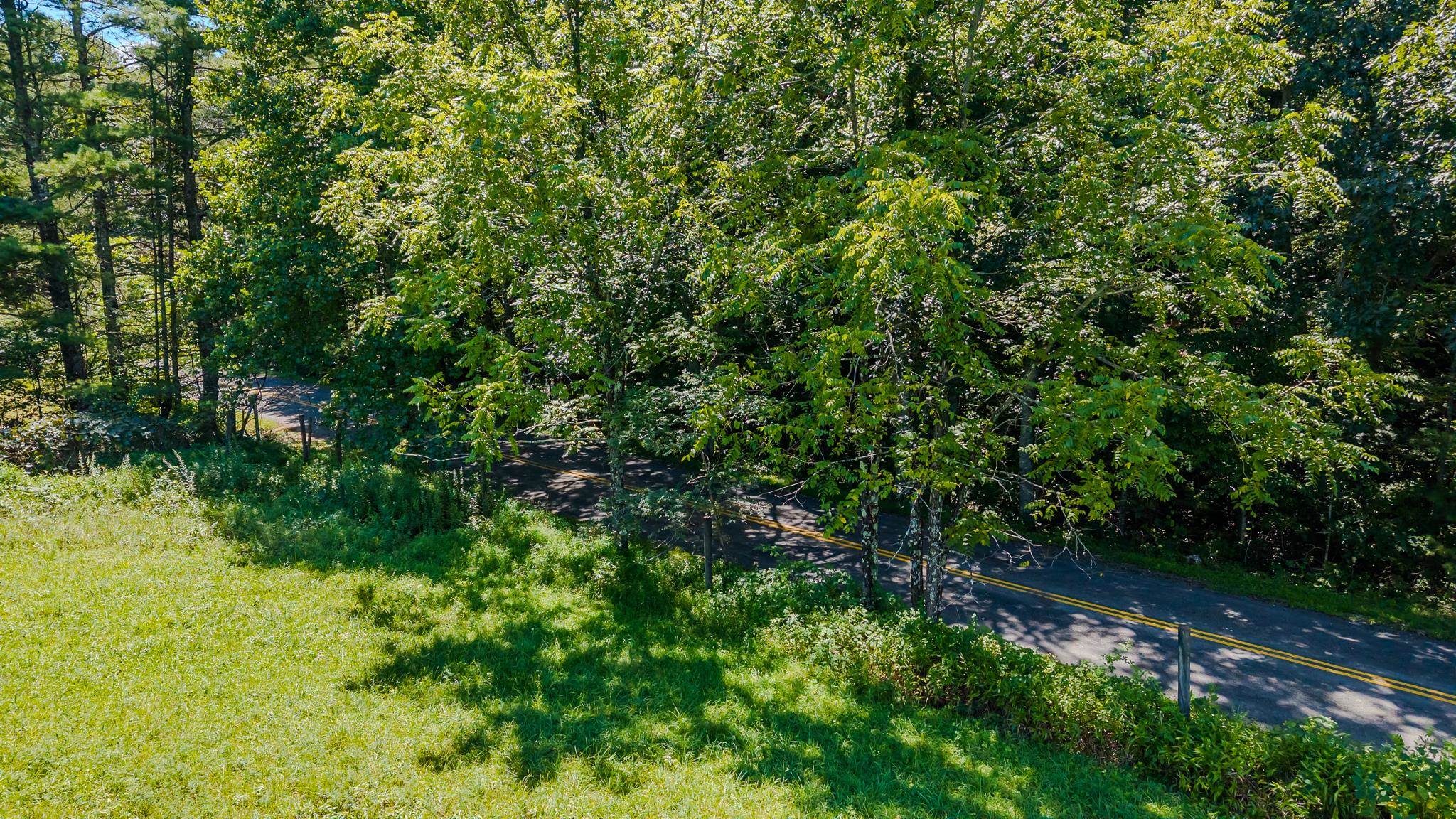 Tbd Free Union Road Meadows Of Dan, VA 24120 - Photo 12 of 21 Gallery Image 12