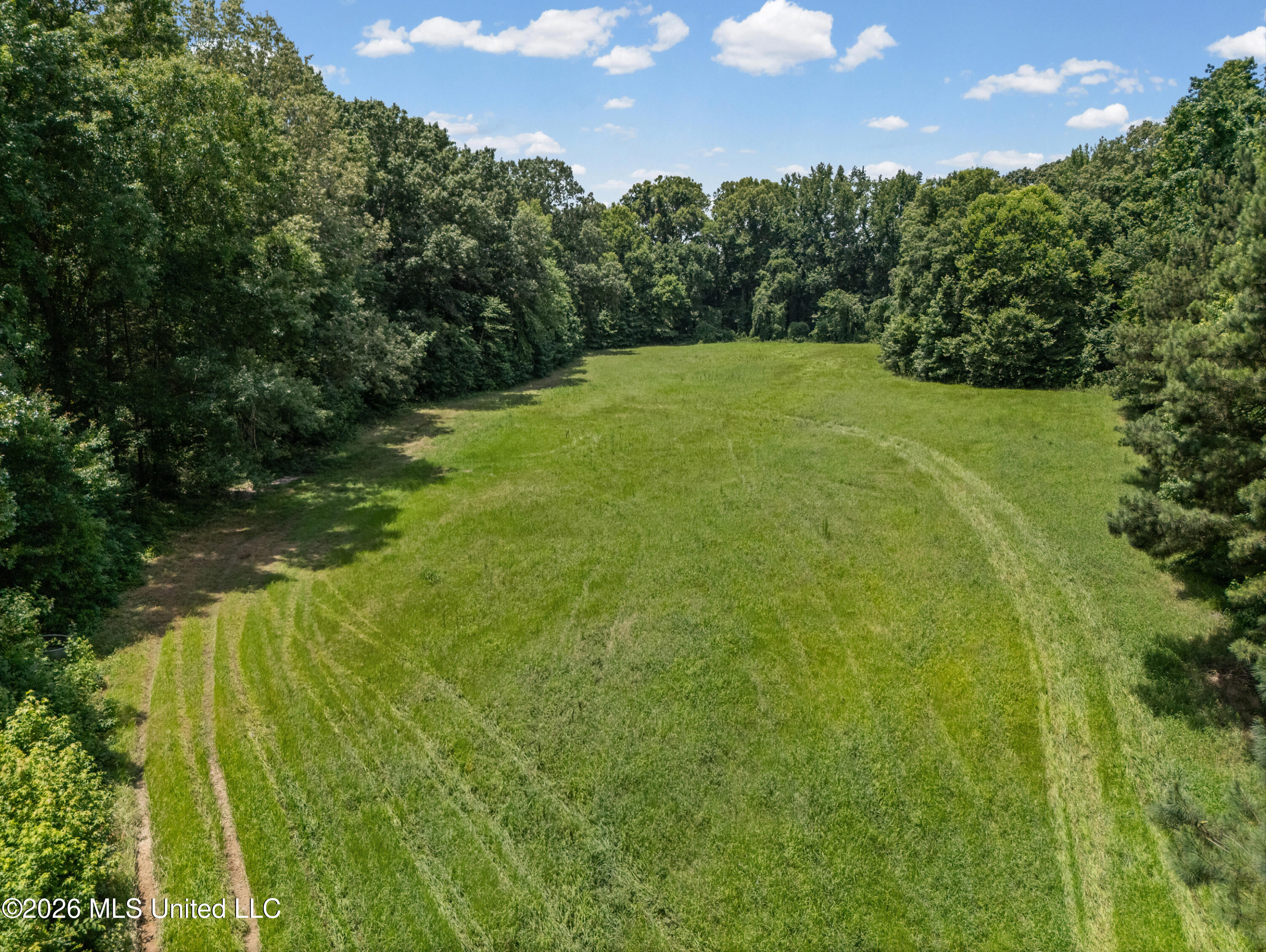 0 Freeman Drive Coldwater, MS 38618 - Photo 5 of 15 dji_20260701124342_0087_d_print