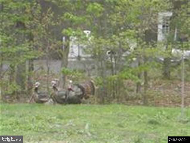 215 Chain Saw Road Dillsburg, PA 17019 - Photo 12 of 25 Gallery Image 12