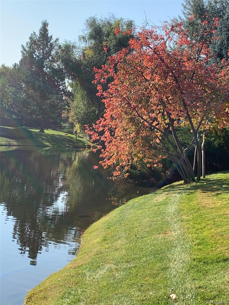 847 Racquet Lane Boulder, CO 80303 - Photo 40 of 48