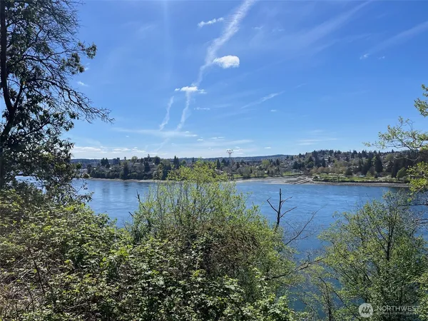 a view of lake with green space
