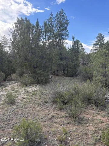 $129,995 | 1988 Artist Draw Road, Unit 7, Overgaard, AZ 85933