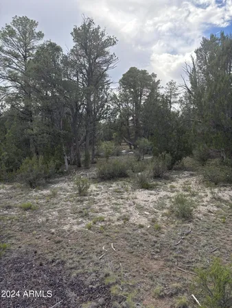 $129,995 | 1988 Artist Draw Road, Unit 7, Overgaard, AZ 85933
