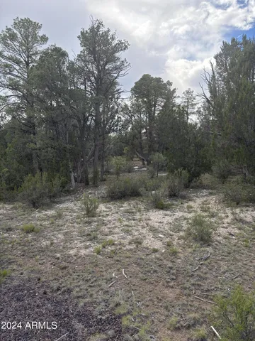 $129,995 | 1988 Artist Draw Road, Unit 7, Overgaard, AZ 85933