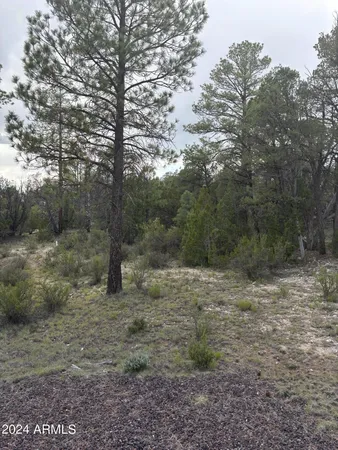 $129,995 | 1988 Artist Draw Road, Unit 7, Overgaard, AZ 85933