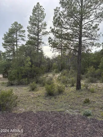 $129,995 | 1988 Artist Draw Road, Unit 7, Overgaard, AZ 85933
