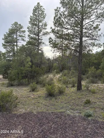 $129,995 | 1988 Artist Draw Road, Unit 7, Overgaard, AZ 85933