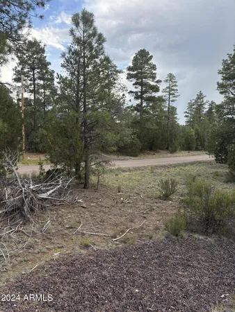 $129,995 | 1988 Artist Draw Road, Unit 7, Overgaard, AZ 85933