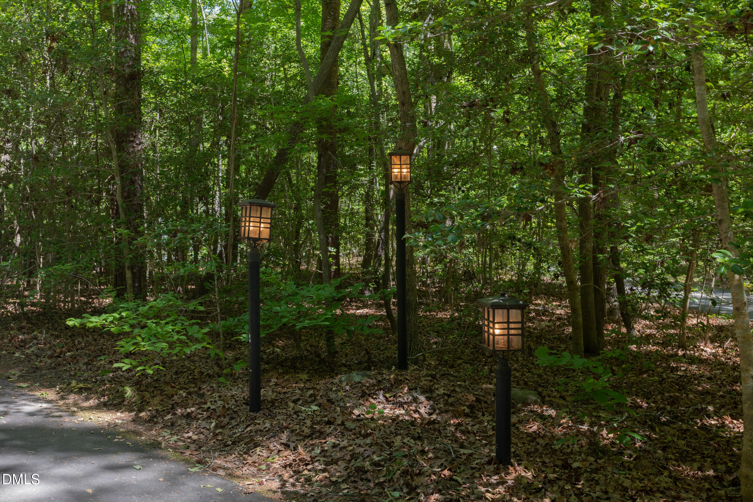 260 Bc Way Rougemont, NC 27572 - Photo 72 of 76 a view of a forest with trees
