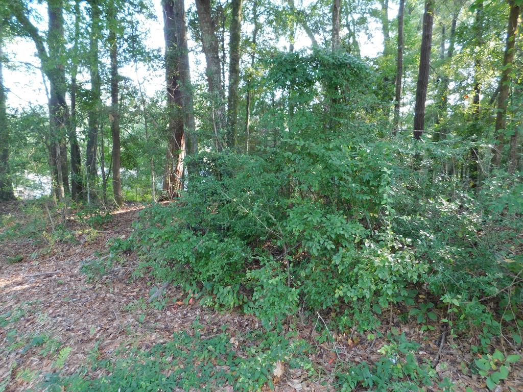 0 Briar Cliff Road Ozark, AL 36360 - Photo 1 of 2