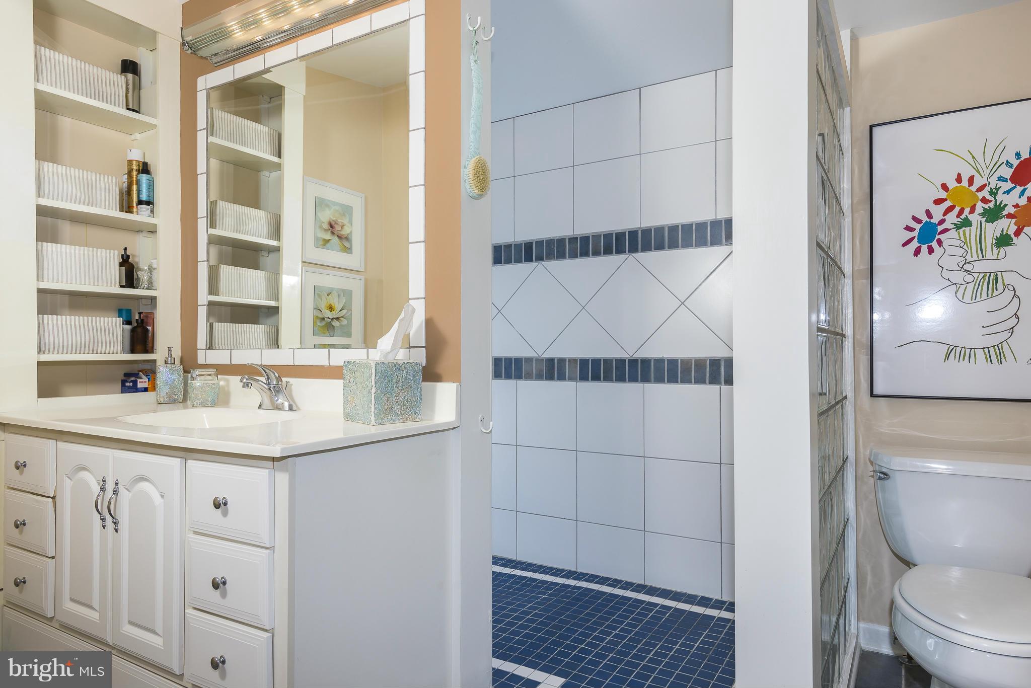56 Church Road Arnold, MD 21012 - Photo 23 of 30 Bath (Master)
