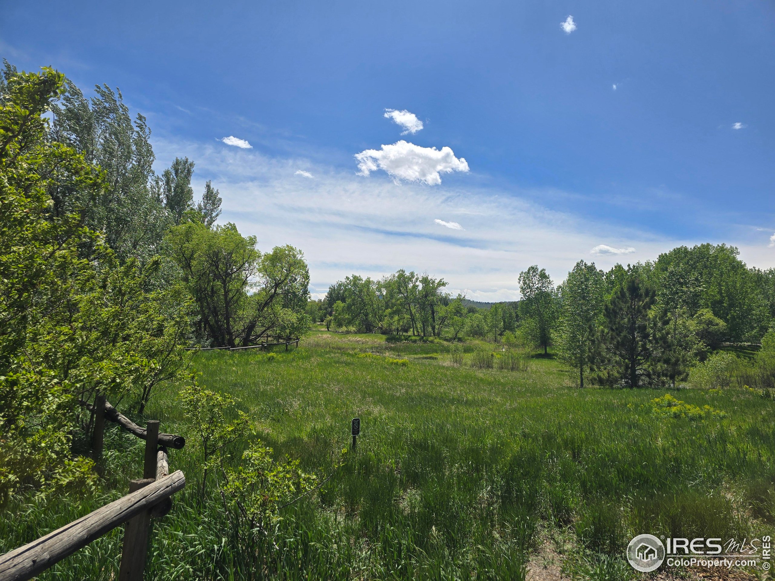 2001 West Prospect Road Fort Collins, CO 80526 - Photo 12 of 16 a view of a flower in a field