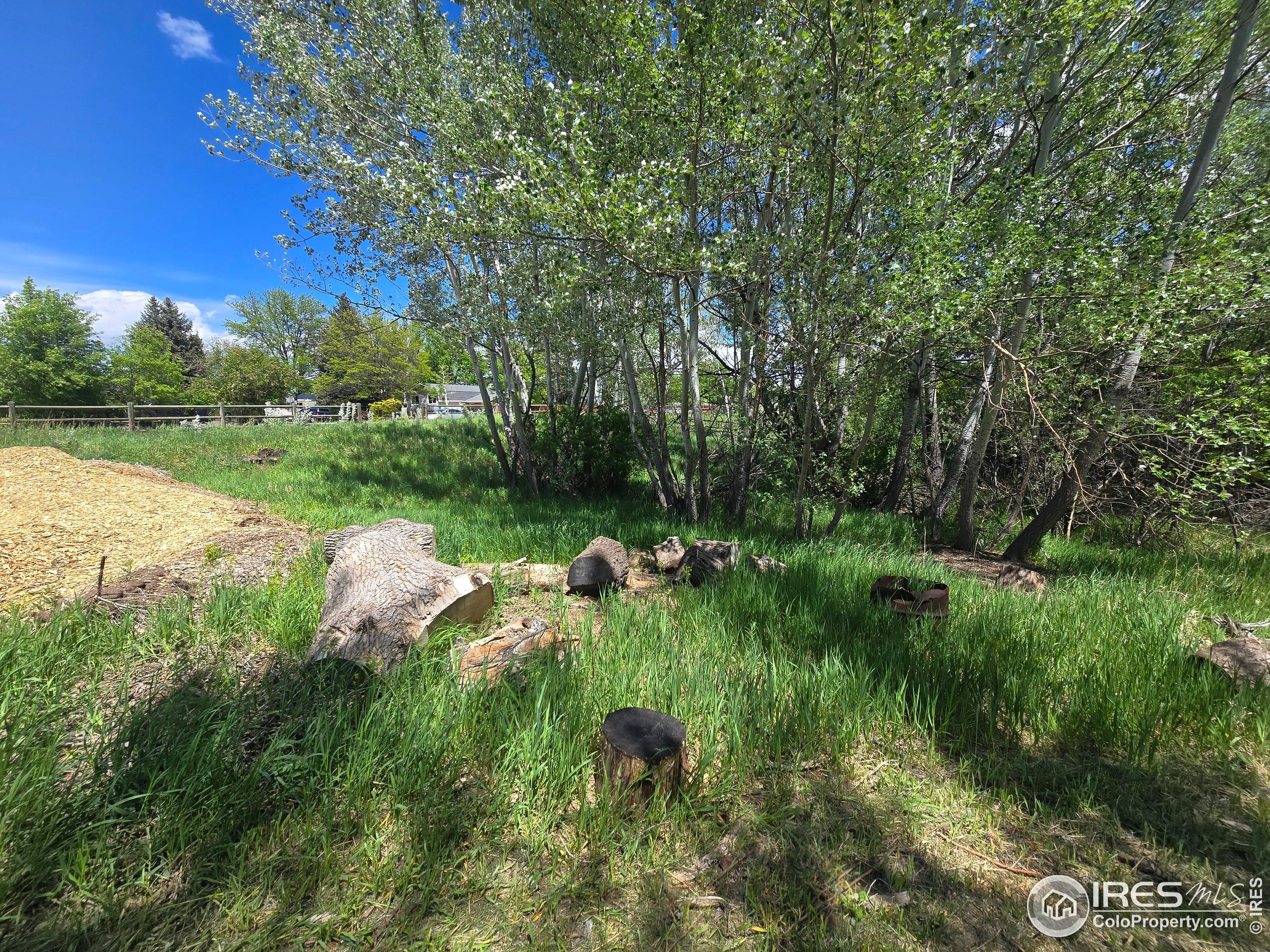 2001 West Prospect Road Fort Collins, CO 80526 - Photo 3 of 16 a view of a lake with a yard