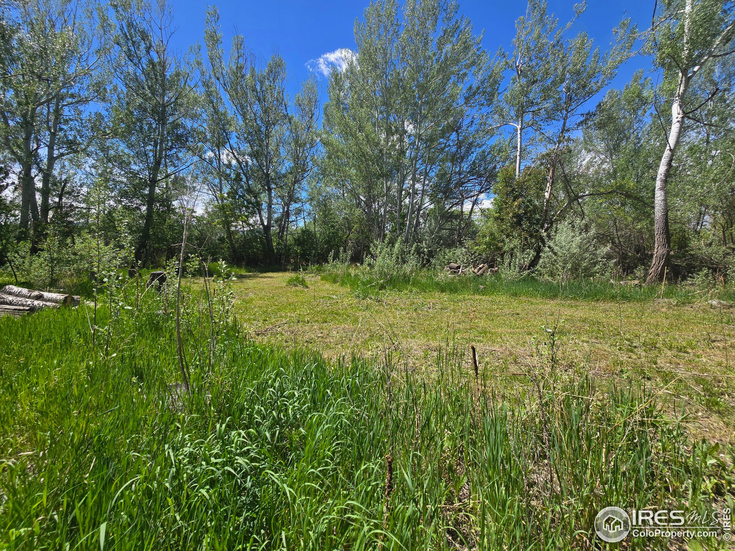 2001 West Prospect Road Fort Collins, CO 80526 - Photo 7 of 16 a view of a field with a tree