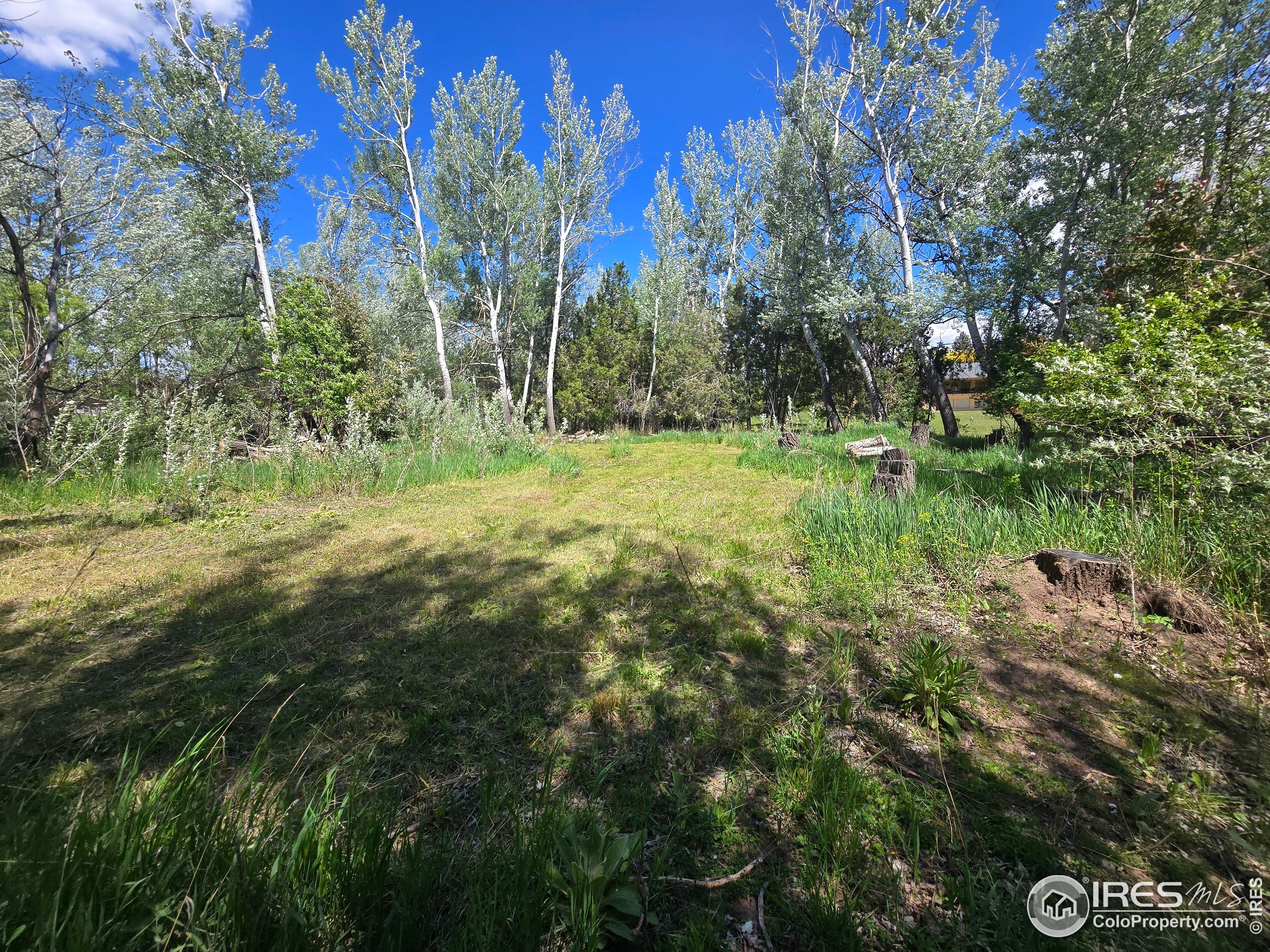 2001 West Prospect Road Fort Collins, CO 80526 - Photo 9 of 16 a view of outdoor space and yard