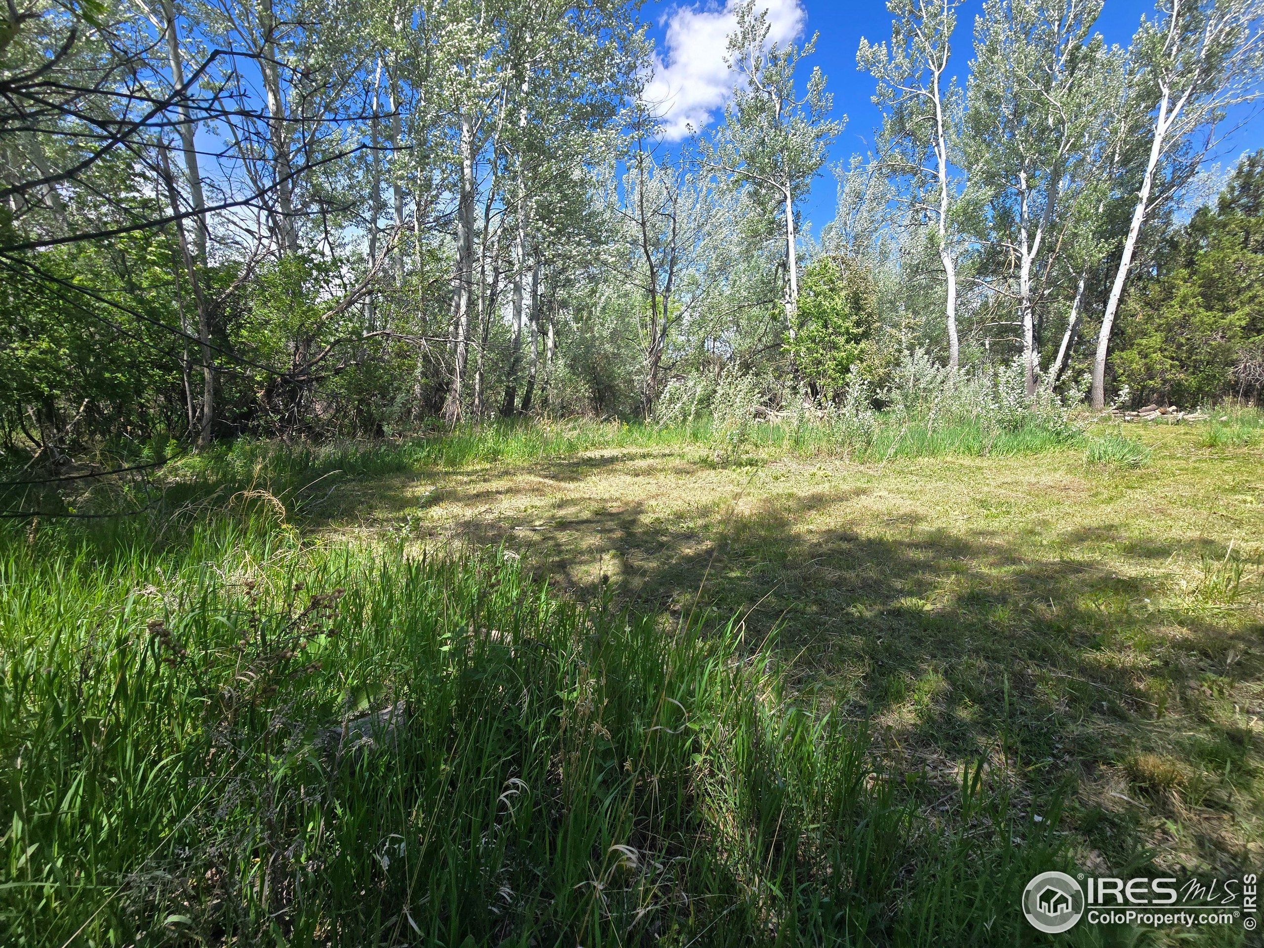 2001 West Prospect Road Fort Collins, CO 80526 - Photo 10 of 16 a view of outdoor space and yard