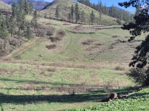 $99,000 | Tbd Tbd Elk Hill Street, Kamiah, ID 83536