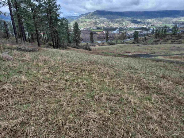 $99,000 | Tbd Tbd Elk Hill Street, Kamiah, ID 83536