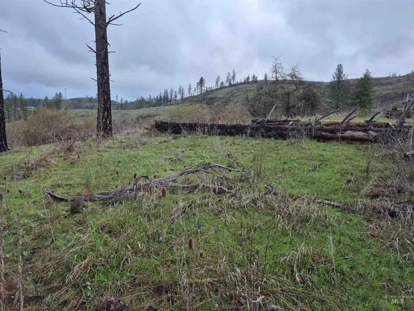 $99,000 | Tbd Tbd Elk Hill Street, Kamiah, ID 83536