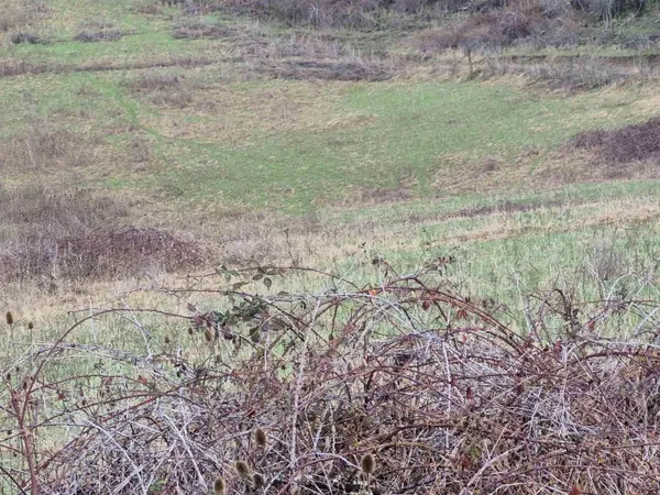 $99,000 | Tbd Tbd Elk Hill Street, Kamiah, ID 83536