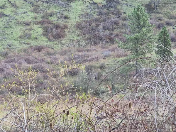 $99,000 | Tbd Tbd Elk Hill Street, Kamiah, ID 83536