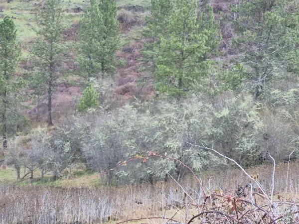 $99,000 | Tbd Tbd Elk Hill Street, Kamiah, ID 83536