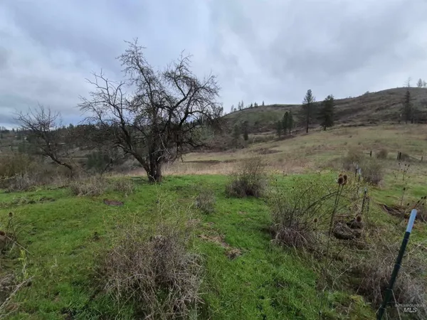 $99,000 | Tbd Tbd Elk Hill Street, Kamiah, ID 83536