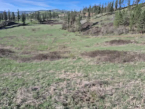 $99,000 | Tbd Tbd Elk Hill Street, Kamiah, ID 83536
