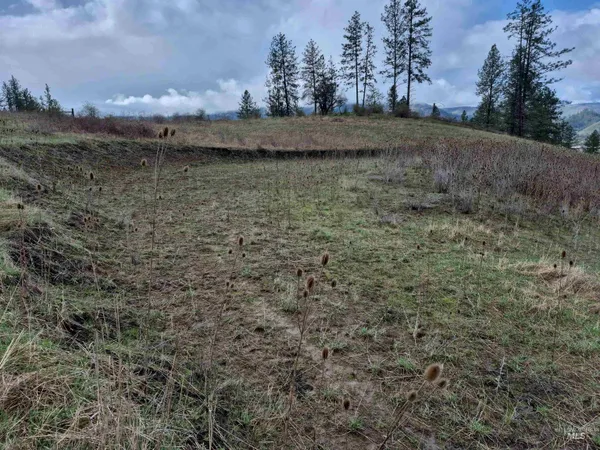 $99,000 | Tbd Tbd Elk Hill Street, Kamiah, ID 83536