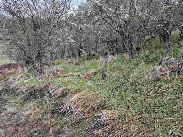 $99,000 | Tbd Tbd Elk Hill Street, Kamiah, ID 83536