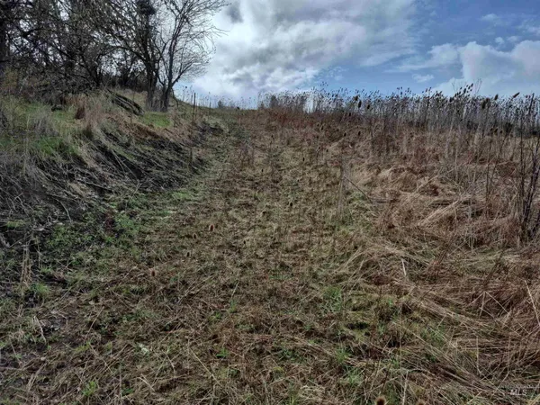 $99,000 | Tbd Tbd Elk Hill Street, Kamiah, ID 83536