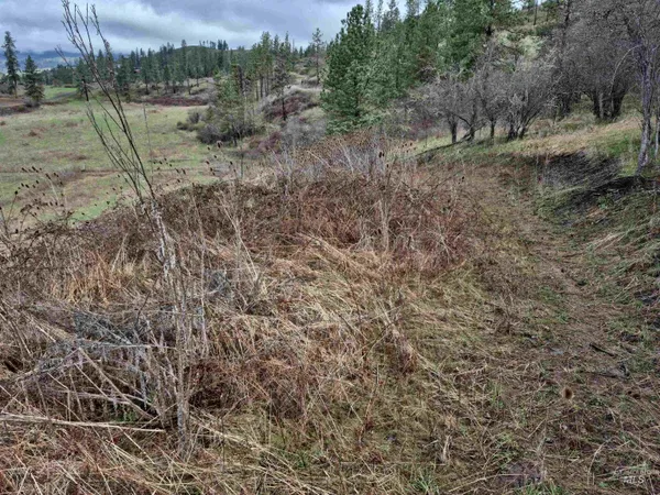 $99,000 | Tbd Tbd Elk Hill Street, Kamiah, ID 83536
