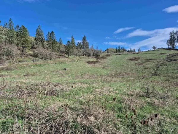 $99,000 | Tbd Tbd Elk Hill Street, Kamiah, ID 83536