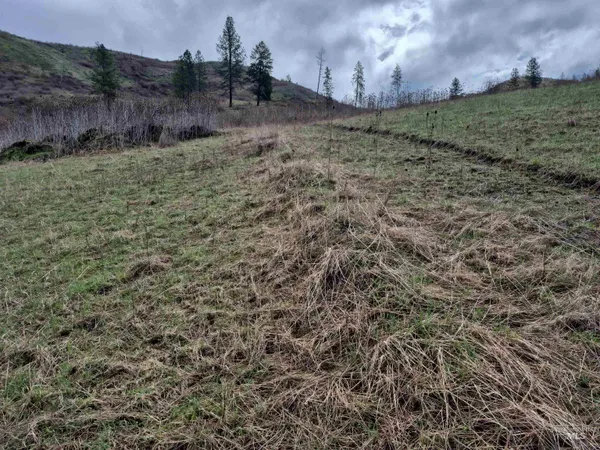 $99,000 | Tbd Tbd Elk Hill Street, Kamiah, ID 83536