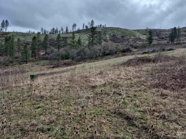 $99,000 | Tbd Tbd Elk Hill Street, Kamiah, ID 83536