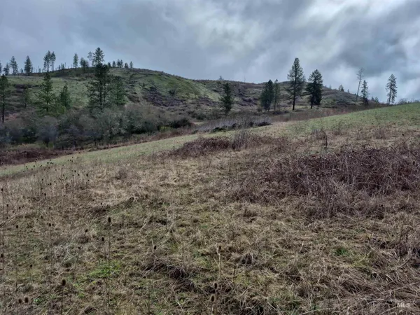 $99,000 | Tbd Tbd Elk Hill Street, Kamiah, ID 83536