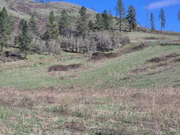 $99,000 | Tbd Tbd Elk Hill Street, Kamiah, ID 83536