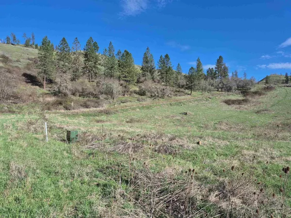 $99,000 | Tbd Tbd Elk Hill Street, Kamiah, ID 83536