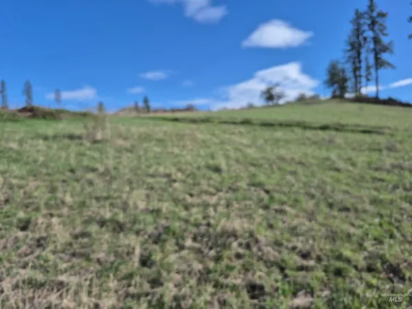 $99,000 | Tbd Tbd Elk Hill Street, Kamiah, ID 83536