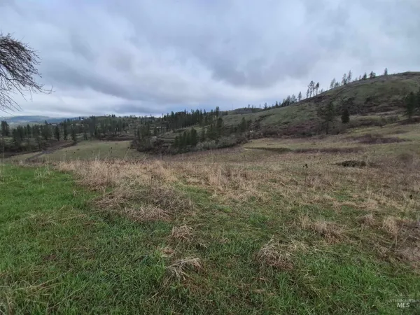 $99,000 | Tbd Tbd Elk Hill Street, Kamiah, ID 83536
