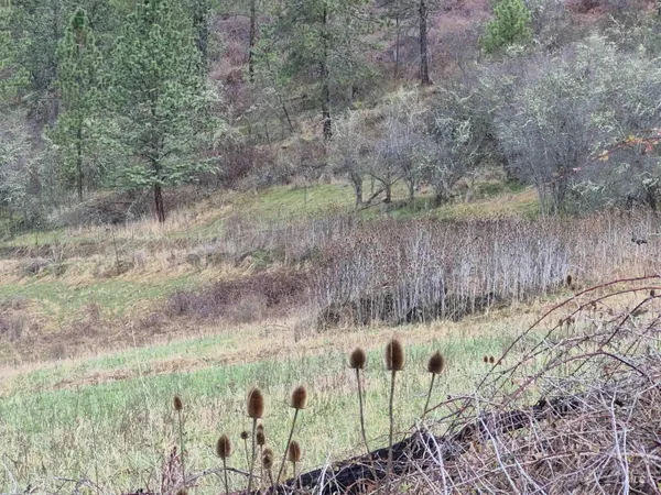 $99,000 | Tbd Tbd Elk Hill Street, Kamiah, ID 83536