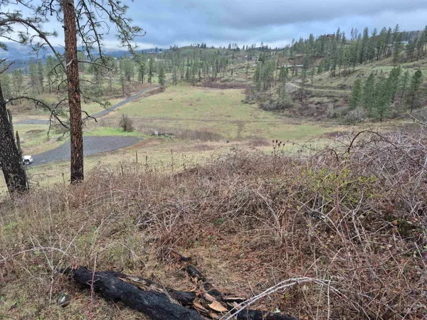 $99,000 | Tbd Tbd Elk Hill Street, Kamiah, ID 83536