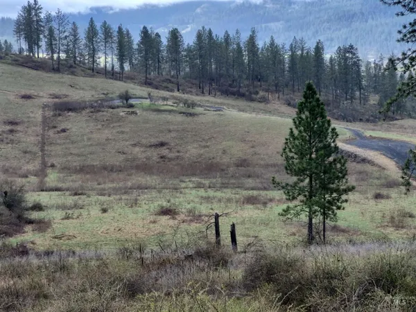 $99,000 | Tbd Tbd Elk Hill Street, Kamiah, ID 83536