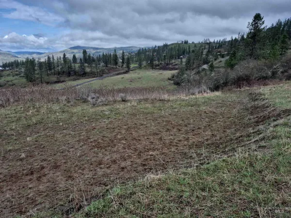 $99,000 | Tbd Tbd Elk Hill Street, Kamiah, ID 83536