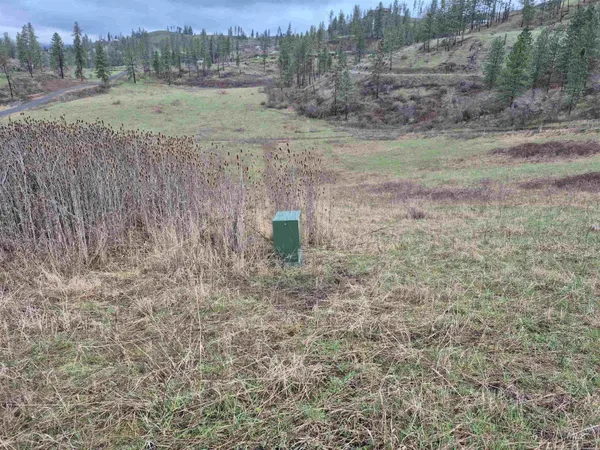 $99,000 | Tbd Tbd Elk Hill Street, Kamiah, ID 83536