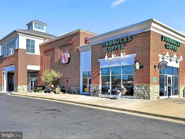 a view of a park with large trees
